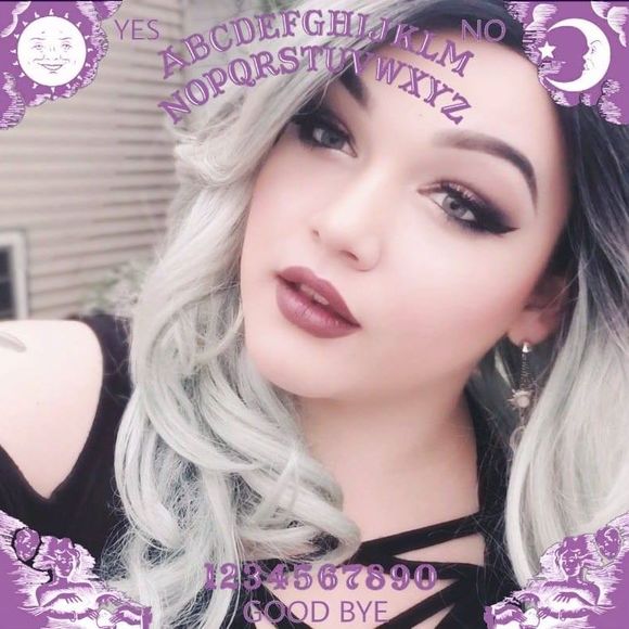 Meet your Posher, Kiki - Picture 1 of 1